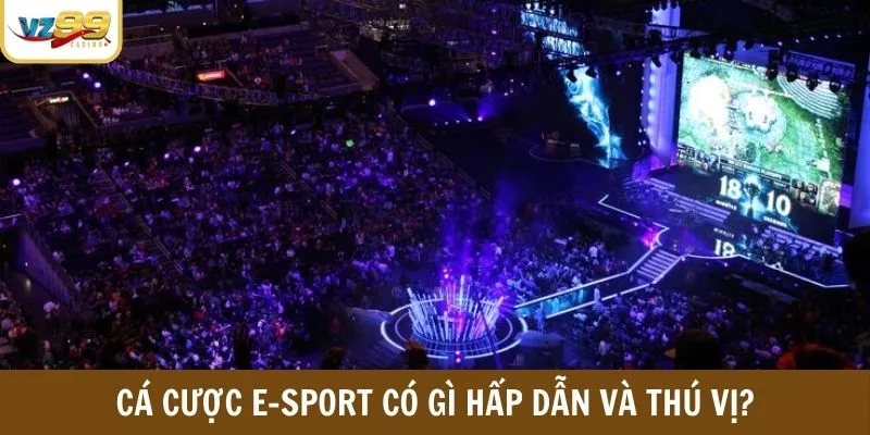 Cá cược E-sport có gì hấp dẫn và thú vị?