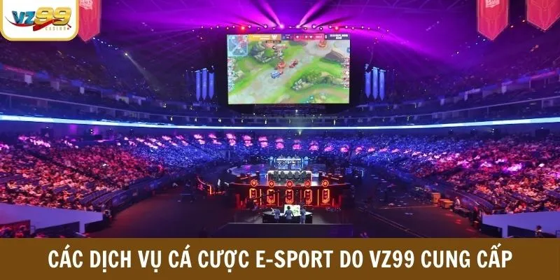 Các dịch vụ cá cược E-sport do VZ99 cung cấp