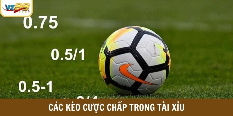 Các kèo cược chấp trong tài xỉu