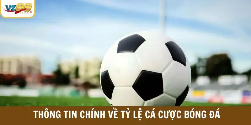  Thông tin chính về tỷ lệ cá cược bóng đá