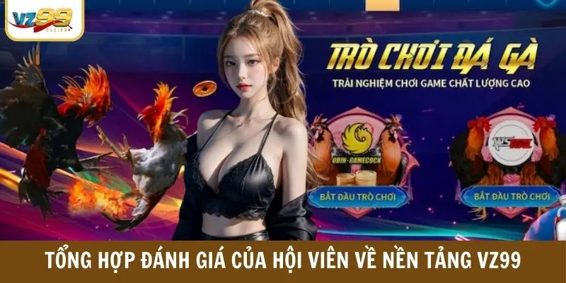 Tổng hợp đánh giá của hội viên về nền tảng VZ99